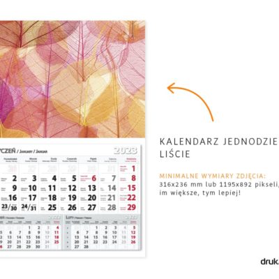 kalendarze_2023_Jednodzielny_Liscie_druk24h.pl