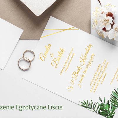 10_Egzotyczne Liście